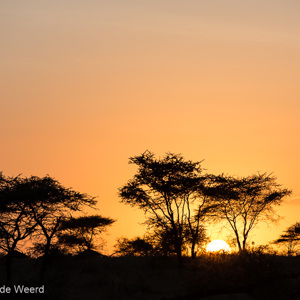 2015-10-20 - Zonsopkomst<br/>Serengeti National Park - Tanzania<br/>Canon EOS 5D Mark III - 200 mm - f/5.6, 1/2000 sec, ISO 400