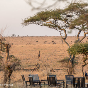 2015-10-20 - Uitzicht tijdens het ontbijt<br/>Serengeti National Park - Tanzania<br/>Canon EOS 5D Mark III - 200 mm - f/5.6, 1/60 sec, ISO 200