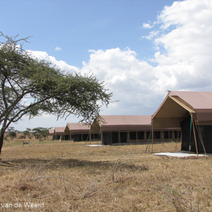 2015-10-21 - De tenten - één per 2 personen!<br/>Serengeti Tortilis Camp - Serengeti National Park - Tanzania<br/>Canon PowerShot SX1 IS - 6.6 mm - f/4.0, 1/800 sec, ISO 80