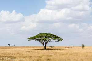 Serengeti National Park