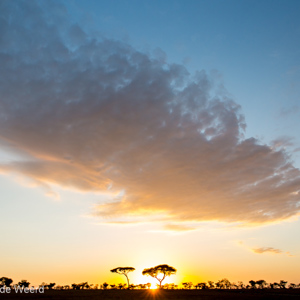 2015-10-21 - Zonsopkomst op de savanne<br/>Serengeti National Park - Tanzania<br/>Canon EOS 5D Mark III - 24 mm - f/8.0, 1/160 sec, ISO 800