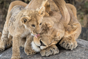 Serengeti National Park
