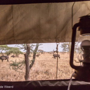 2015-10-22 - Uitzicht op de buffels vanuit onze tent<br/>Serengeti National Park - Tanzania<br/>Canon EOS 5D Mark III - 24 mm - f/4.0, 0.1 sec, ISO 1600