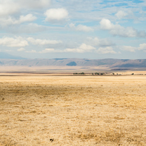 2015-10-24 - Panorama van de Ngorongoro krater<br/>Ngorongoro-krater - Ngorongoro - Tanzania<br/>Canon EOS 5D Mark III - 53 mm - f/8.0, 1/250 sec, ISO 200