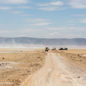 2015-10-24 - File op de vlakte<br/>Ngorongoro-krater - Ngorongoro - Tanzania<br/>Canon EOS 5D Mark III - 75 mm - f/8.0, 1/1000 sec, ISO 200