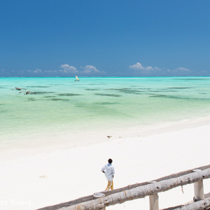 2015-10-26 - Spierwit zand, groene zee, blauwe lucht<br/>Casa del Mar - Jambiani - Zanzibar<br/>Canon EOS 5D Mark III - 24 mm - f/8.0, 1/250 sec, ISO 100