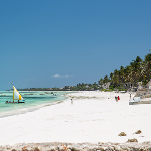 2015-10-26 - Uitzicht naast ons hotel op de palmen en strand<br/>Casa del Mar - Jambiani - Zanzibar<br/>Canon EOS 5D Mark III - 70 mm - f/8.0, 1/200 sec, ISO 100