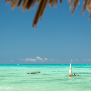 2015-10-26 - Onwerkelijk mooie kleurtjes<br/>Casa del Mar - Jambiani - Zanzibar<br/>Canon EOS 5D Mark III - 70 mm - f/8.0, 1/125 sec, ISO 100