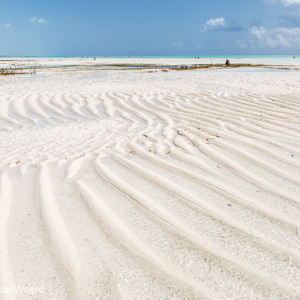 2015-10-28 - Sporen van de stroming, zichtbaar bij laag water<br/>Casa del Mar - Jambiani - Zanzibar<br/>Canon EOS 5D Mark III - 24 mm - f/8.0, 1/400 sec, ISO 200