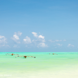 2015-10-28 - Groen, groener, groenst<br/>Casa del Mar - Jambiani - Zanzibar<br/>Canon EOS 5D Mark III - 70 mm - f/8.0, 1/200 sec, ISO 200