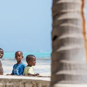 2015-10-29 - Kinderen uit het dorpje<br/>Casa del Mar - Jambiani - Zanzibar<br/>Canon EOS 7D Mark II - 200 mm - f/5.6, 1/1000 sec, ISO 200