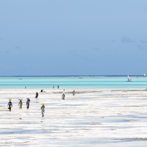 2015-10-29 - Bedrijvigheid als het weer vloed wordt<br/>Casa del Mar - Jambiani - Zanzibar<br/>Canon EOS 7D Mark II - 140 mm - f/5.6, 1/1600 sec, ISO 200