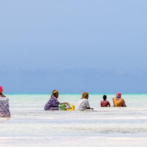 2015-10-29 - Vrouwen aan het werk in het lage water<br/>Casa del Mar - Jambiani - Zanzibar<br/>Canon EOS 7D Mark II - 123 mm - f/8.0, 1/640 sec, ISO 200