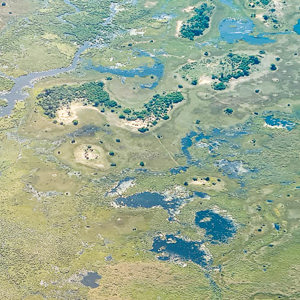 2024-04-29 - Veel water, maar ook wat bosjes - vanuit het vliegtuig<br/>Onderweg (vliegtuigje) - Kasane - airstrip Jedibe – Kal - Botswana<br/>SM-G981B - 5.9 mm - f/2.0, 1/500 sec, ISO 50