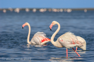 Solitair, Walvis Bay, Swakopmund,