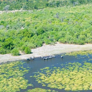 2024-05-03 - Prachtig om de olifanten ook vanuit de lucht te zien<br/>Onderweg (vliegtuigje) - Air strip Kwai River – Maun - Botswana<br/>Canon EOS R5 - 105 mm - f/6.3, 1/8000 sec, ISO 12800