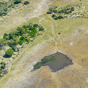 2024-05-03 - Olifanten bij een waterhole - vanuit het vliegtuig<br/>Onderweg (vliegtuigje) - Air strip Kwai River – Maun - Botswana<br/>Canon EOS R5 - 105 mm - f/8.0, 1/1600 sec, ISO 1250