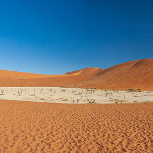 2007-08-11 - De onwerkelijke Deadvlei<br/>Sossusvlei - Deadvlei - Sesriem - Namibie<br/>Canon EOS 30D - 17 mm - f/16.0, 0.01 sec, ISO 200