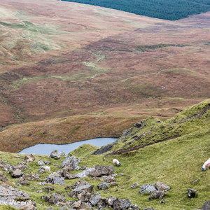 2016-10-16 - Typisch Schots met de schapen erbij<br/>Old Man of Storr - Trotternish - Schotland<br/>Canon EOS 5D Mark III - 70 mm - f/8.0, 0.01 sec, ISO 400