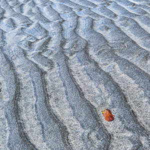 2016-10-17 - Sporen van de zee in het zand<br/>Fiskavaig Bay - Carbost - Schotland<br/>Canon EOS 5D Mark III - 35 mm - f/16.0, 0.25 sec, ISO 100