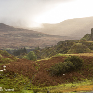 2016-10-18 - Bijzonder licht en schapen<br/>Fairy Glen - Balnaknock - Uig - Schotland<br/>Canon EOS 5D Mark III - 115 mm - f/4.0, 1/1250 sec, ISO 400