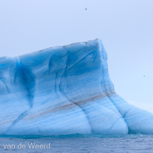 2022-07-17 - Prachtige vormen in de blauwe ijsschots<br/>Kvitoya - Spitsbergen<br/>Canon EOS R5 - 100 mm - f/5.6, 1/2000 sec, ISO 800