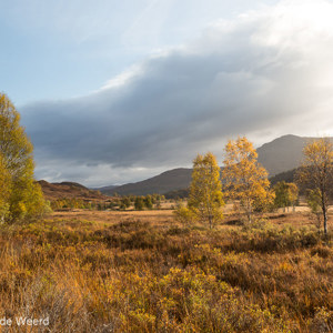 2016-10-19 - Warm ochtendlicht in de herfst<br/>Loch Cluanie - Glenmoriston - Schotland<br/>Canon EOS 5D Mark III - 36 mm - f/8.0, 1/80 sec, ISO 200