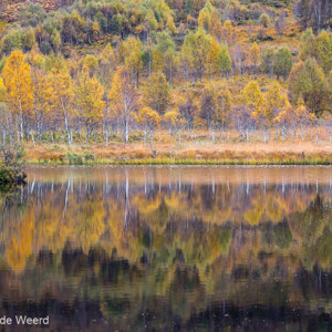 2016-10-19 - Herfstbomen-reflectie<br/>Loch Cluanie - Glenmoriston - Schotland<br/>Canon EOS 5D Mark III - 100 mm - f/5.6, 1/160 sec, ISO 400