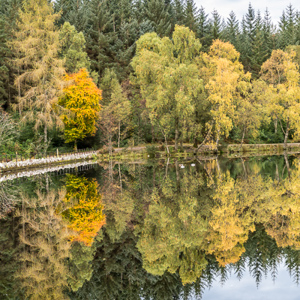 2016-10-20 - Het gele boompje<br/>Glencoe Lochan - Glencoe - Schotland<br/>Canon EOS 5D Mark III - 52 mm - f/5.6, 1/40 sec, ISO 400