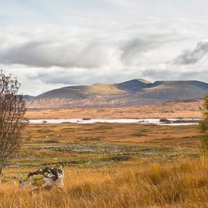2016-10-20 - Loch Tulla<br/>Loch Tulla - NBridge of Orchy - Schotland<br/>Canon EOS 5D Mark III - 42 mm - f/11.0, 1/40 sec, ISO 200