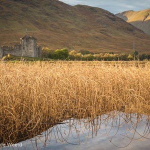 2016-10-20 - Riet en het kasteel<br/>Kilchurn Castle - Lochawe - Schotland<br/>Canon EOS 5D Mark III - 49 mm - f/11.0, 1/30 sec, ISO 400