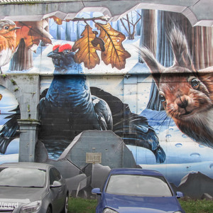 2016-10-22 - Muurschldering Fellow Glasgow Residents - door SMUG<br/>Ingram street - Glasgow - Schotland<br/>Canon PowerShot SX1 IS - 7 mm - f/4.0, 1/80 sec, ISO 80
