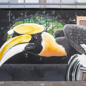 2016-10-22 - Muurschldering Big Birds - door ROQUE-ONE<br/>Howard Street - Dunlop Street - Glasgow - Schotland<br/>Canon PowerShot SX1 IS - 5.2 mm - f/2.8, 1/8 sec, ISO 200