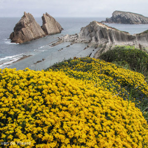 2015-04-26 - Voorjaar is een mooie tijd aan de kust<br/>Playa de Arnia - Liencres - Spanje<br/>Canon PowerShot SX1 IS - 8.9 mm - f/4.0, 1/800 sec, ISO 80