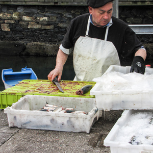 2015-04-30 - Visser is de vis aan het schoonmaken en fileren<br/>Luarca - Spanje<br/>Canon PowerShot SX1 IS - 14.2 mm - f/4.0, 1/250 sec, ISO 80