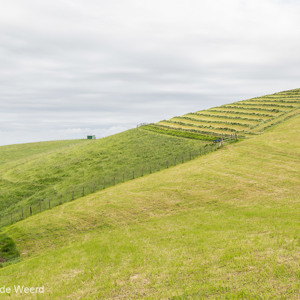 2015-05-06 - Gras<br/>Kustwandelroute - Zumaia-Deba - Spanje<br/>Canon EOS 5D Mark III - 44 mm - f/8.0, 1/400 sec, ISO 200