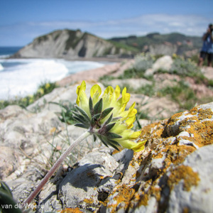 2015-05-06 - De fotograaf gefotografeerd<br/>Kust - Zumaia - Spanje<br/>Canon PowerShot SX1 IS - 5 mm - f/3.5, 1/1600 sec, ISO 80