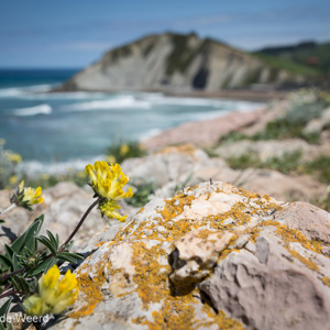 2015-05-06 - Kleur aan de kust<br/>Kust - Zumaia - Spanje<br/>Canon EOS 5D Mark III - 38 mm - f/8.0, 1/400 sec, ISO 200