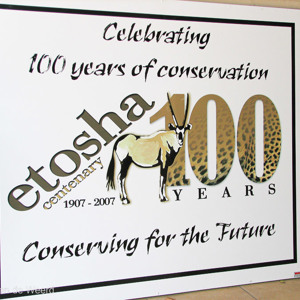 2007-08-19 - We waren er precies in een feestjaar<br/>Etosha - Namibie<br/>Canon PowerShot S2 IS - 10.6 mm - f/4.0, 1/125 sec, ISO 50