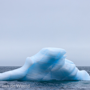 2022-07-17 - Blauwe ijsschots<br/>Storoya - Spitsbergen<br/>Canon EOS R5 - 100 mm - f/5.6, 1/2500 sec, ISO 800