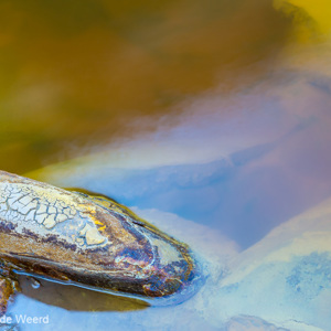 2017-05-01 - Rio Tinto - iedere andere compositie geeft andere kleuren<br/>Brug ten zuiden van Berrocal - Berrocal - Spanje<br/>Canon EOS 5D Mark III - 70 mm - f/22.0, 1.3 sec, ISO 100