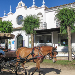 2017-05-03 - Voorzijde van ons hotel<br/>Hotel Palacio Donana - El Rocío - Spanje<br/>Canon PowerShot SX1 IS - 5.4 mm - f/4.5, 1/1000 sec, ISO 80