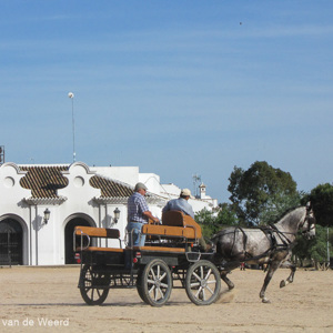 2017-05-02 - Vrijwel alles gaat met paard en wagen<br/>El Rocío - Spanje<br/>Canon PowerShot SX1 IS - 20.4 mm - f/5.0, 1/1000 sec, ISO 80