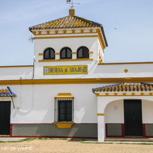 2017-05-04 - Nog niet zo oud, wel een fraai gebouwtje<br/>Dehesa de Abajo - La Puebla del Río - Spanje<br/>Canon PowerShot SX1 IS - 10.1 mm - f/3.5, 1/1600 sec, ISO 80