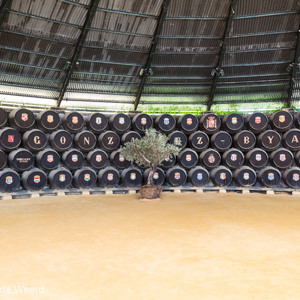 2017-05-05 - Best veel vaten<br/>Gonzalez Byass Bodega - Jerez de la Frontera - Spanje<br/>Canon EOS 5D Mark III - 24 mm - f/5.6, 1/6 sec, ISO 400