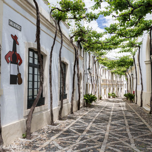 2017-05-05 - Straatje in de Bodega<br/>Gonzalez Byass Bodega - Jerez de la Frontera - Spanje<br/>Canon EOS 5D Mark III - 24 mm - f/8.0, 1/160 sec, ISO 200