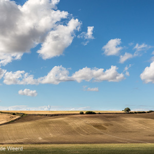 2017-05-05 - Glooiend landscap op weg naar Sevilla<br/>Onderweg naar Sevilla - Jerez de la Frontera - Spanje<br/>Canon EOS 5D Mark III - 38 mm - f/8.0, 1/500 sec, ISO 200