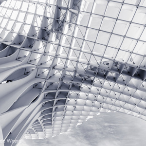2017-05-08 - Metropol Parasol - organic shapes<br/>Metropol Parasol - Sevilla - Spanje<br/>Canon EOS 5D Mark III - 16 mm - f/8.0, 1/250 sec, ISO 200
