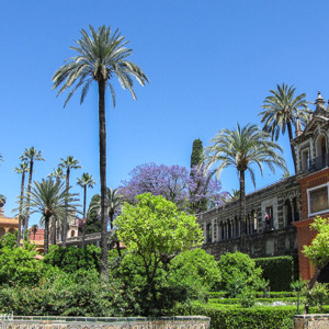 2017-05-07 - Paleistuinen<br/>Real Alcázar de Sevilla - Sevilla - Spanje<br/>Canon PowerShot SX1 IS - 5 mm - f/4.0, 1/500 sec, ISO 80
