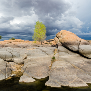 2014-07-08 - Eenzaam boompje<br/>Watson Lake Park - Granite Dells - Prescott - Verenigde Staten<br/>Canon EOS 5D Mark III - 24 mm - f/11.0, 0.01 sec, ISO 400